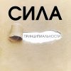 Сила принципиальности